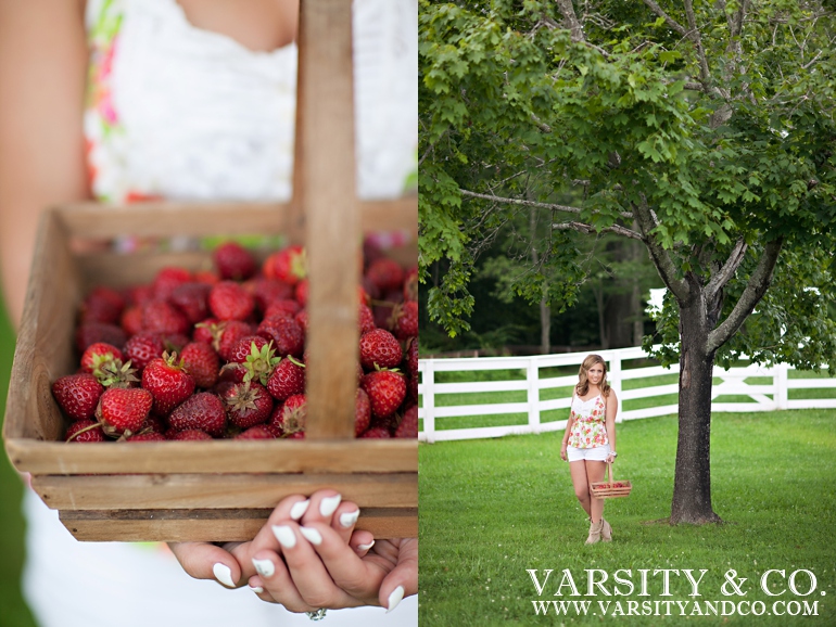 strawberries in a basket