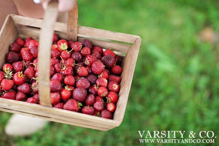 basket of bright red strawberries